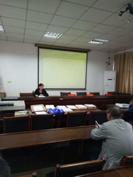 枝江市电子信息产业园项目设计招标开标会